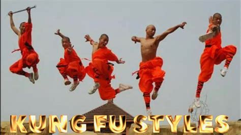 bokep kungfu|'chinese kung fu' Search .